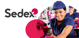 Sedex驗(yàn)廠